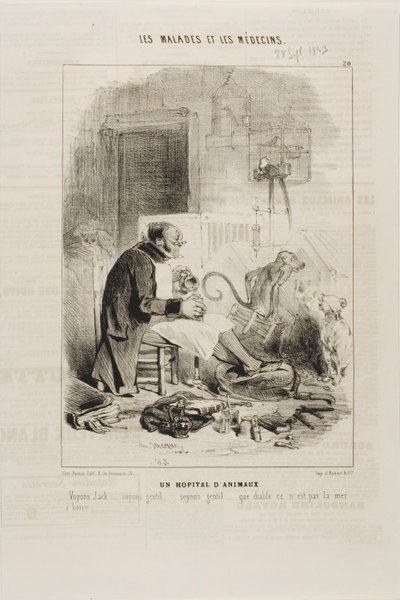 Zvířecí nemocnice (deska 20) od Charles Emile Jacque
