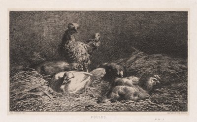 Kuřata od Charles Emile Jacque