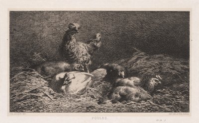 Chickens Poutes, 1867. od Charles Emile Jacque