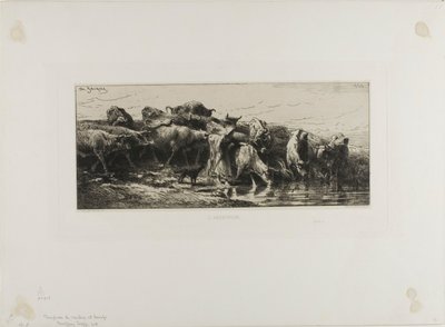 Krávy pití od Charles Emile Jacque
