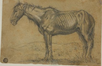 Vyhublý kůň (recto); čelní pohled na koně (verso) od Charles Emile Jacque