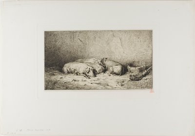 Čtyři spící prasata od Charles Emile Jacque