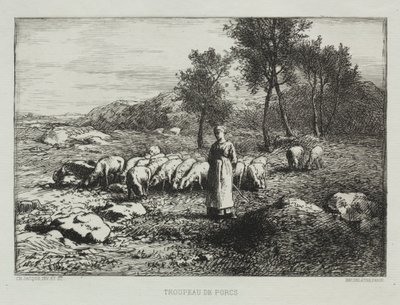 Stádo sviní od Charles Emile Jacque