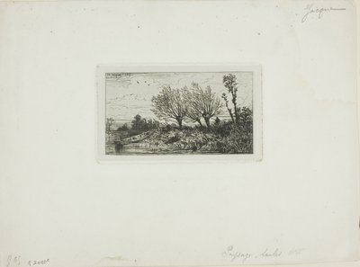 Krajina, Vrby od Charles Emile Jacque
