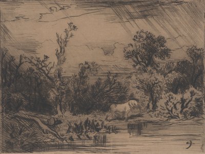 Krajina s bouřkou, 1848. od Charles Emile Jacque