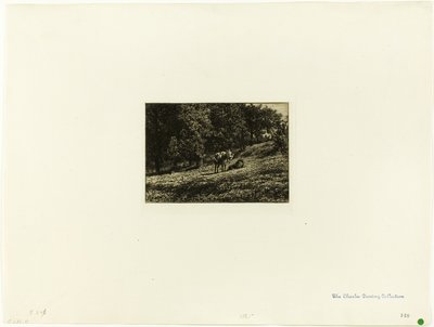 Ovocný sad od Charles Emile Jacque