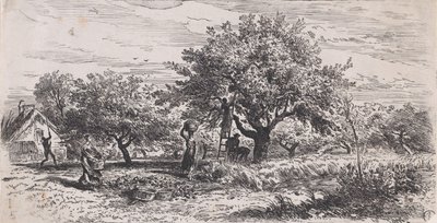 Sbírání ovoce ze stromu před chatou, ca. 1852. od Charles Emile Jacque