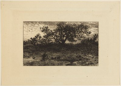 Tisk od Charles Emile Jacque