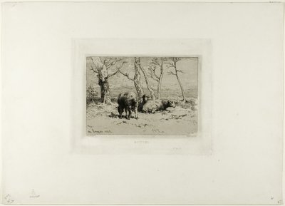 Ovce od Charles Emile Jacque