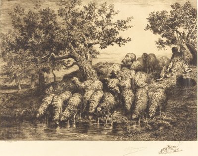 Ovce na napajedlu od Charles Emile Jacque