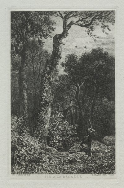 Střelba na Woodcocka. od Charles Emile Jacque