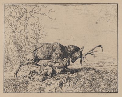 Stag Fighting a Wolf, po Antoine Louis Barye, 1846. od Charles Emile Jacque