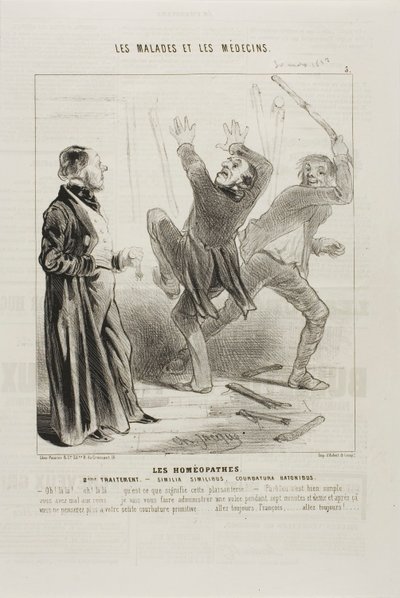 Homeopati: (deska 5) od Charles Emile Jacque