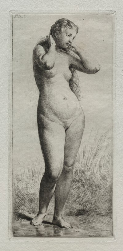 Mladá žena koupání. od Charles Emile Jacque