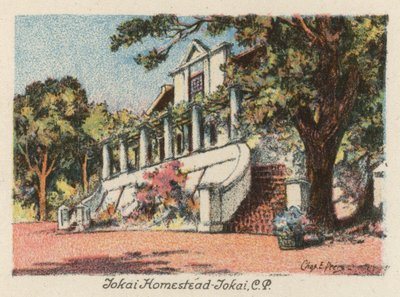 Jihoafrická republika: Tokai Homestead, Tokai, CP (barevná litografie) od Charles Ernest Peers