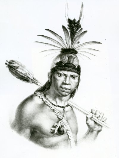 Šéf Camacan Montoyo z „Pittoresque and Historical Trip to Brazil“ od Jean Baptist Debret, 1834 od Charles Etienne Pierre Motte