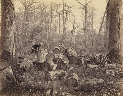 Les Fontainebleau od Charles Famin
