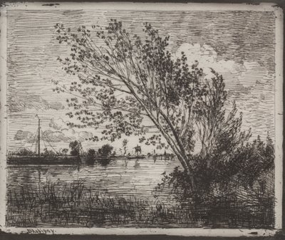 Cluster of Alders, původní otisk 1862, vytištěno v roce 1921. od Charles Francois Daubigny