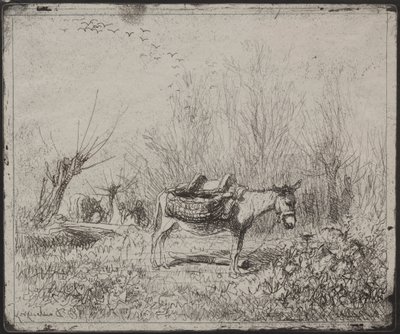 Donkey in the Field, původní otisk 1862, vytištěno v roce 1921. od Charles Francois Daubigny
