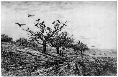 Raven Tree, 1840-1875, 1924 od Charles Francois Daubigny