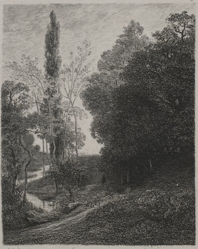 Banks of the River Cousin, 1850. od Charles Francois Daubigny
