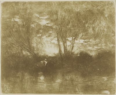 Krávy u napajedla od Charles Francois Daubigny