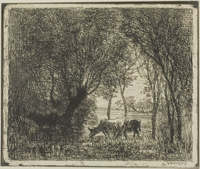Krávy v lese od Charles Francois Daubigny