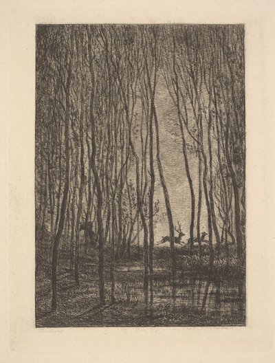 Deer in the Woods, 1850. od Charles Francois Daubigny
