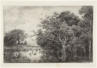 Bažina s čápy od Charles Francois Daubigny