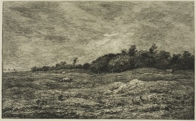 Pre des Graves ve Villerville (Calvados) od Charles Francois Daubigny