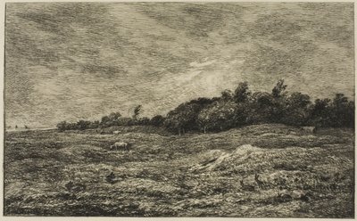 Pre des Graves ve Villerville (Calvados) od Charles Francois Daubigny