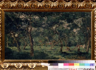"Olivový háj"" (Olivový sad) Malba Charlese Francoise Daubignyho (1817-1878) 1870-1873 Puškinovo muzeum, Moskva od Charles Francois Daubigny