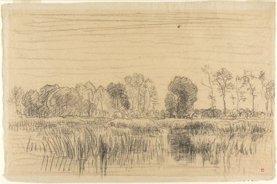 Bažina a zástěna stromů od Charles Francois Daubigny