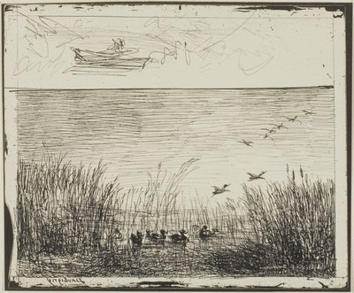 Marsh s kachnami od Charles Francois Daubigny