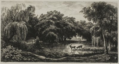 Marsh s jeleny od Charles Francois Daubigny