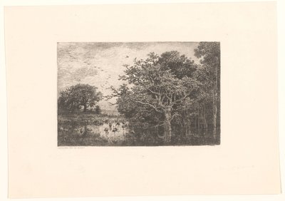 Moeras se setkal s ooievaars Čapí bažina od Charles Francois Daubigny