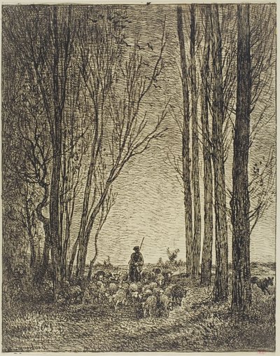 Návrat Hejna od Charles Francois Daubigny
