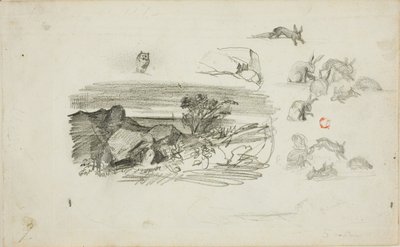 Náčrtky: Skalnaté prostředí a králíci od Charles Francois Daubigny