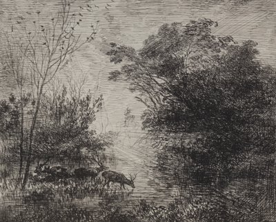 Jeleni od Charles Francois Daubigny