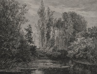 Jeleni na okraji vody od Charles Francois Daubigny