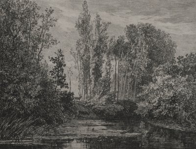 Jeleni na okraji vody, 1850. od Charles Francois Daubigny