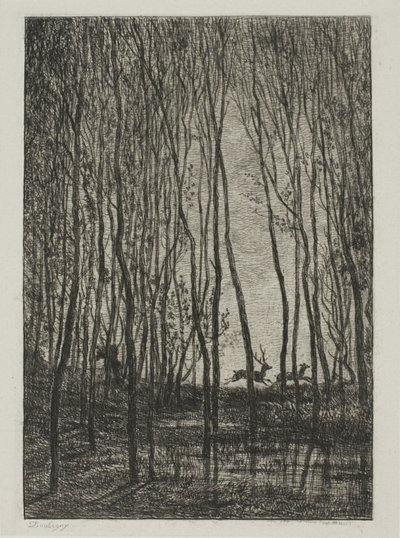 Jeleni v lese od Charles Francois Daubigny