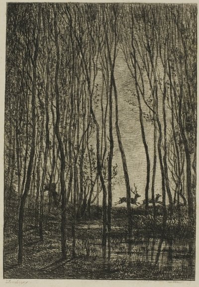 Jeleni v lese od Charles Francois Daubigny