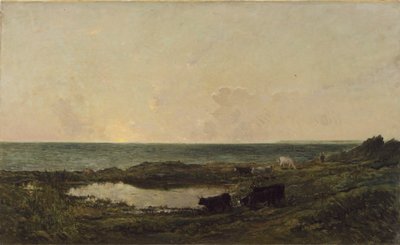 Západ slunce na pobřeží u Villerville od Charles Francois Daubigny