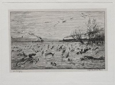 Výlet lodí: Radost z ryb při odjezdu kajutníka (The Fish) od Charles Francois Daubigny