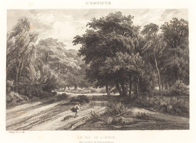 Orlí hnízdo v lese Fontainebleau (Le nid de l