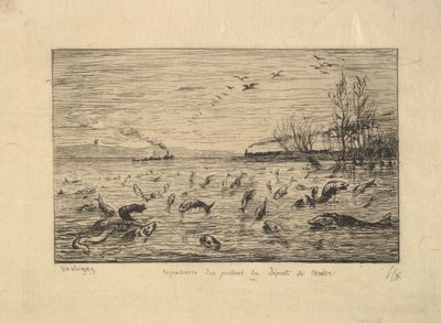Ryba se raduje z odchodu palubního chlapce, 1861. od Charles Francois Daubigny