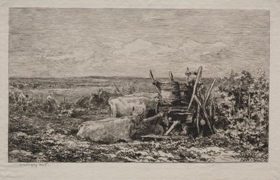 Sklizeň hroznů, 1865. od Charles Francois Daubigny