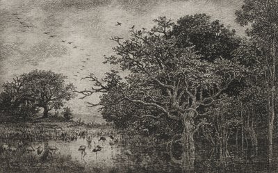 Bažina s čápy od Charles Francois Daubigny