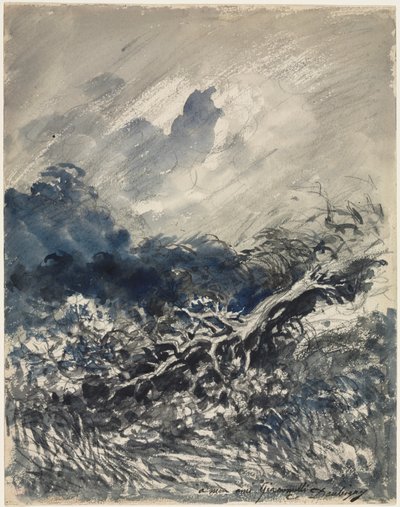 Dub a rákos, c. 1873. od Charles Francois Daubigny
